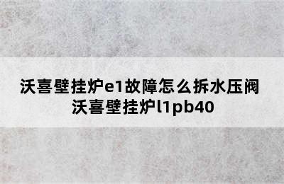 沃喜壁挂炉e1故障怎么拆水压阀 沃喜壁挂炉l1pb40